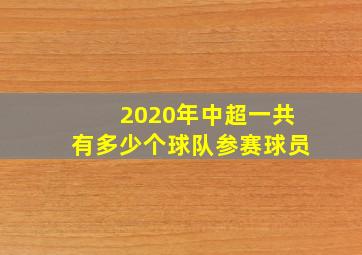 2020年中超一共有多少个球队参赛球员