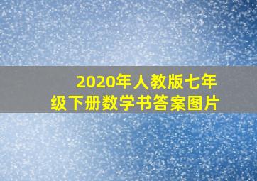 2020年人教版七年级下册数学书答案图片