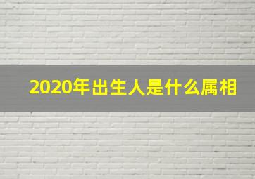 2020年出生人是什么属相