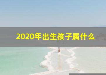 2020年出生孩子属什么