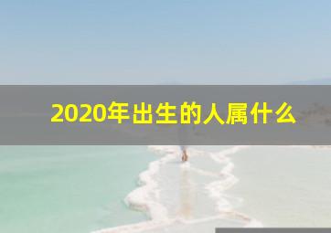 2020年出生的人属什么