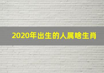 2020年出生的人属啥生肖