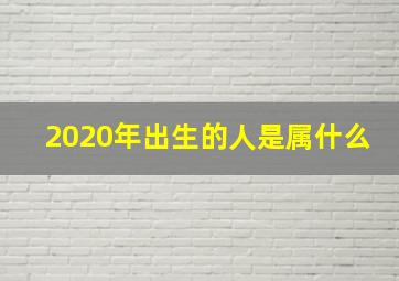 2020年出生的人是属什么