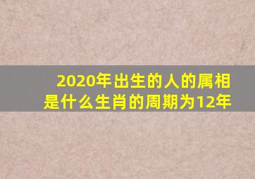 2020年出生的人的属相是什么生肖的周期为12年