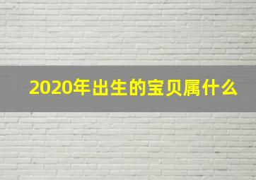 2020年出生的宝贝属什么