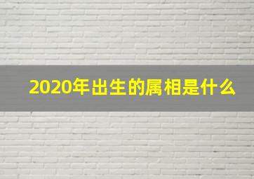 2020年出生的属相是什么