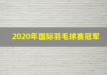 2020年国际羽毛球赛冠军