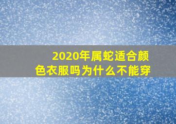 2020年属蛇适合颜色衣服吗为什么不能穿