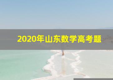 2020年山东数学高考题