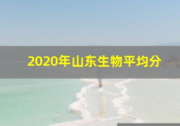 2020年山东生物平均分