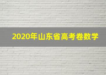 2020年山东省高考卷数学