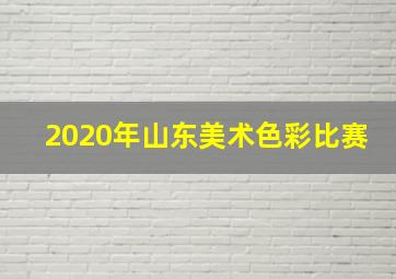 2020年山东美术色彩比赛