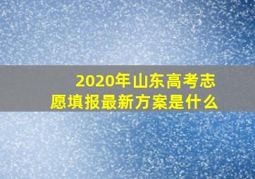 2020年山东高考志愿填报最新方案是什么