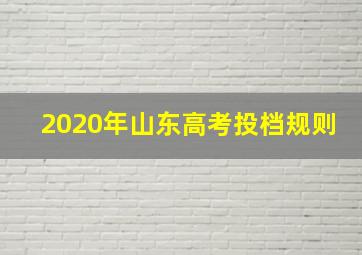 2020年山东高考投档规则