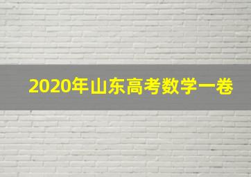 2020年山东高考数学一卷