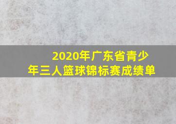 2020年广东省青少年三人篮球锦标赛成绩单