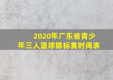 2020年广东省青少年三人篮球锦标赛时间表