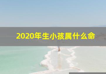 2020年生小孩属什么命