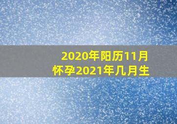 2020年阳历11月怀孕2021年几月生