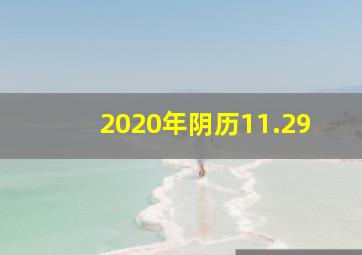 2020年阴历11.29