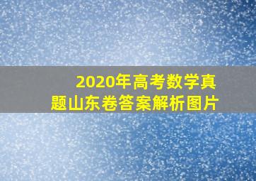 2020年高考数学真题山东卷答案解析图片