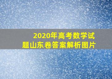 2020年高考数学试题山东卷答案解析图片