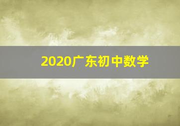 2020广东初中数学