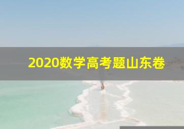 2020数学高考题山东卷