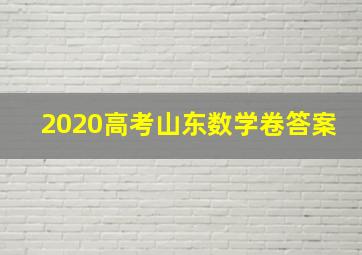 2020高考山东数学卷答案