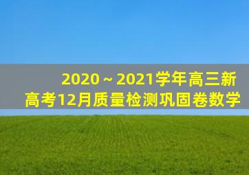 2020～2021学年高三新高考12月质量检测巩固卷数学