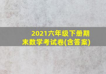 2021六年级下册期末数学考试卷(含答案)