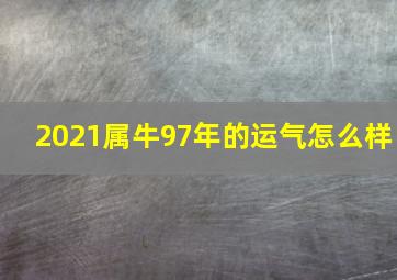 2021属牛97年的运气怎么样