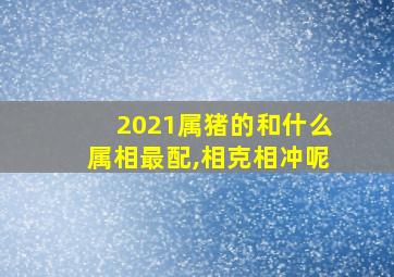 2021属猪的和什么属相最配,相克相冲呢