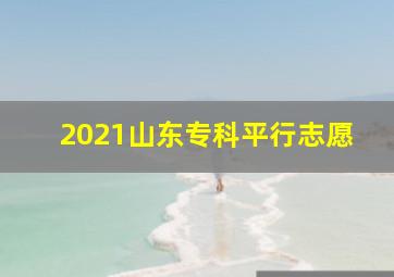 2021山东专科平行志愿