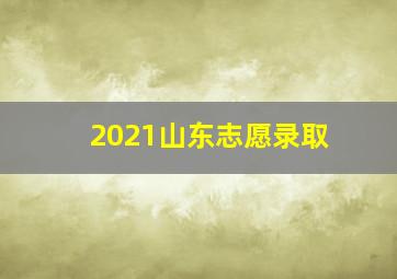 2021山东志愿录取