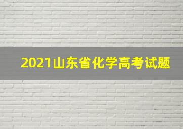 2021山东省化学高考试题