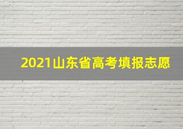 2021山东省高考填报志愿