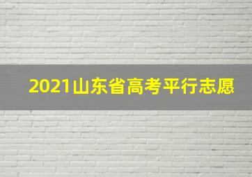 2021山东省高考平行志愿