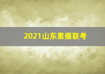 2021山东素描联考