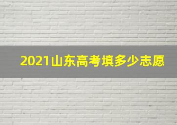 2021山东高考填多少志愿