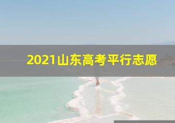 2021山东高考平行志愿