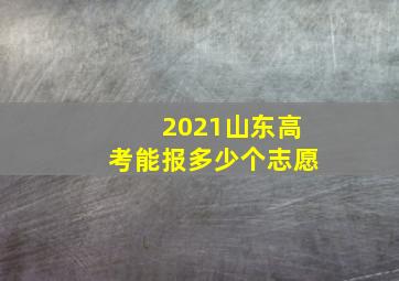 2021山东高考能报多少个志愿