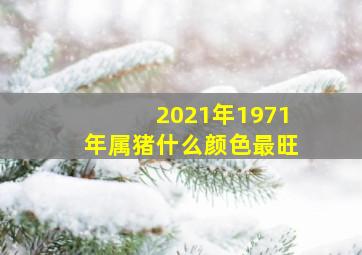 2021年1971年属猪什么颜色最旺