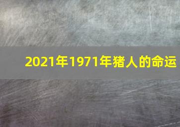 2021年1971年猪人的命运