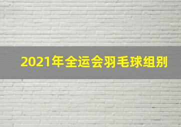 2021年全运会羽毛球组别