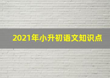 2021年小升初语文知识点