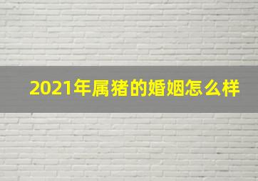 2021年属猪的婚姻怎么样