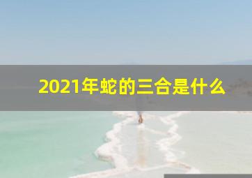 2021年蛇的三合是什么