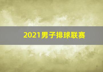 2021男子排球联赛