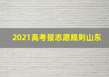 2021高考报志愿规则山东